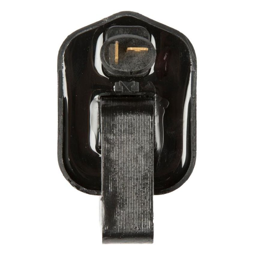 DELPHI GN10359 Ignition Coil