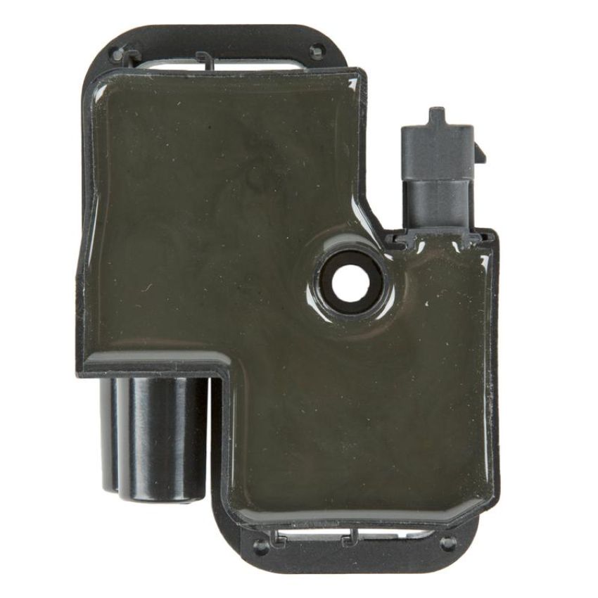 DELPHI GN10361 Ignition Coil