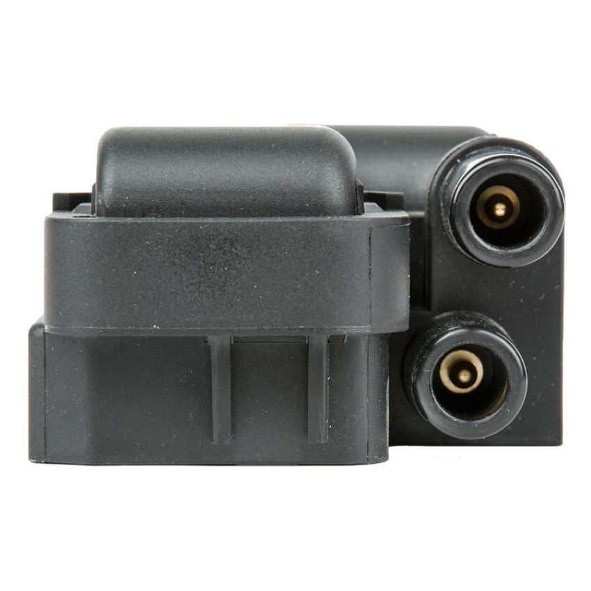 DELPHI GN10361 Ignition Coil