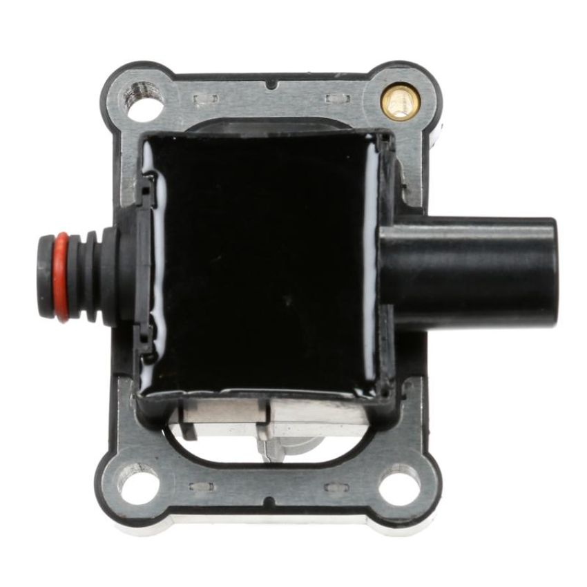 DELPHI GN10381 Ignition Coil