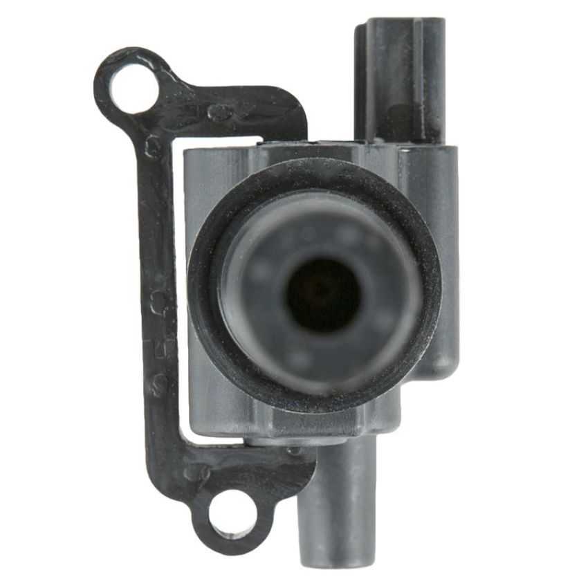 DELPHI GN10384 Ignition Coil
