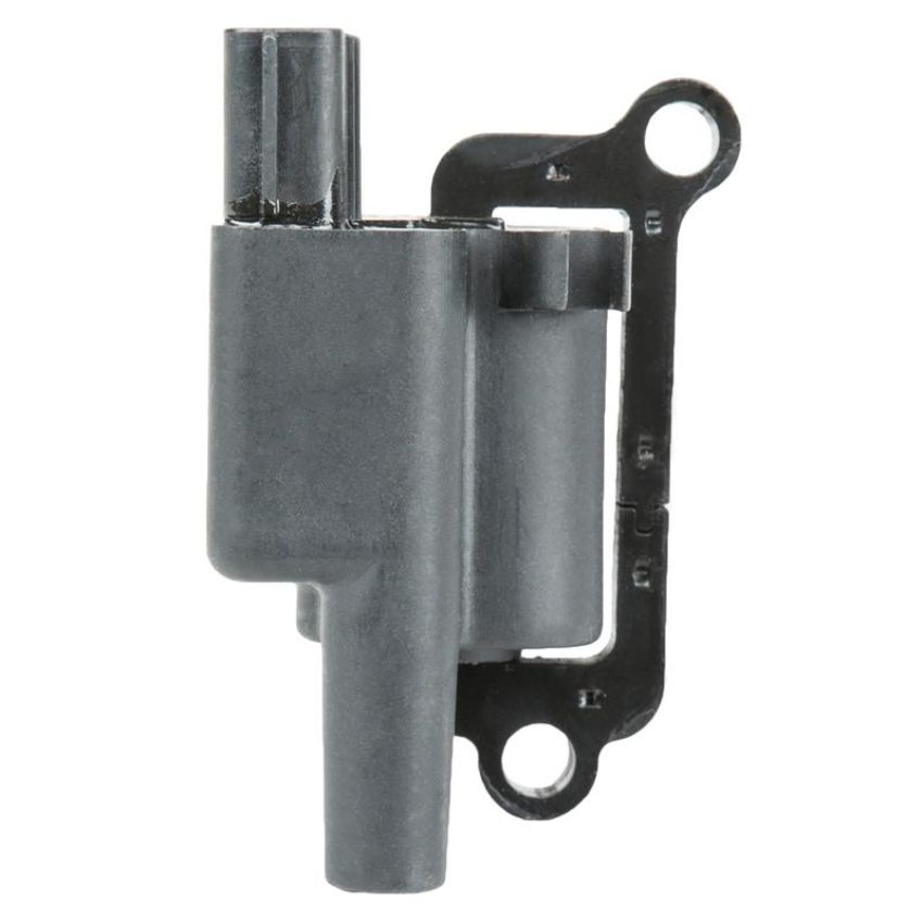 DELPHI GN10384 Ignition Coil