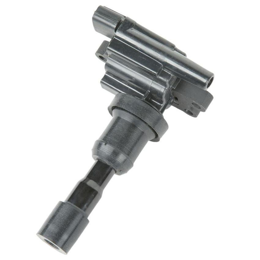 DELPHI GN10385 Ignition Coil