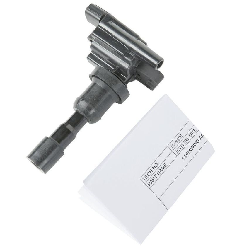 DELPHI GN10385 Ignition Coil