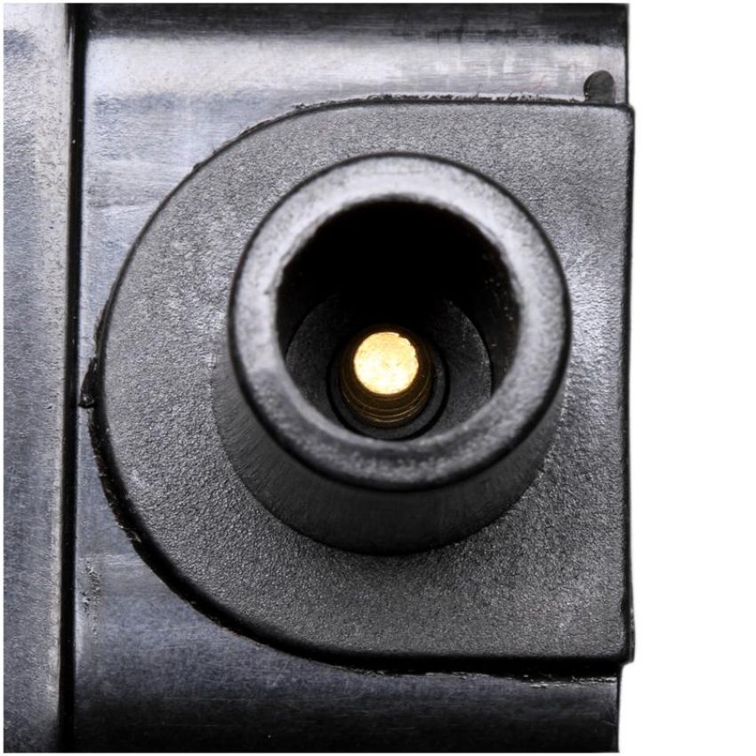 DELPHI GN10422 Ignition Coil