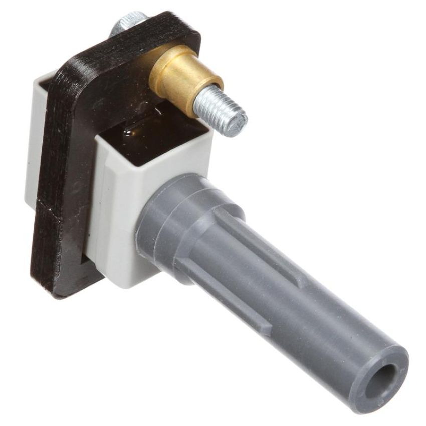DELPHI GN10484 Ignition Coil