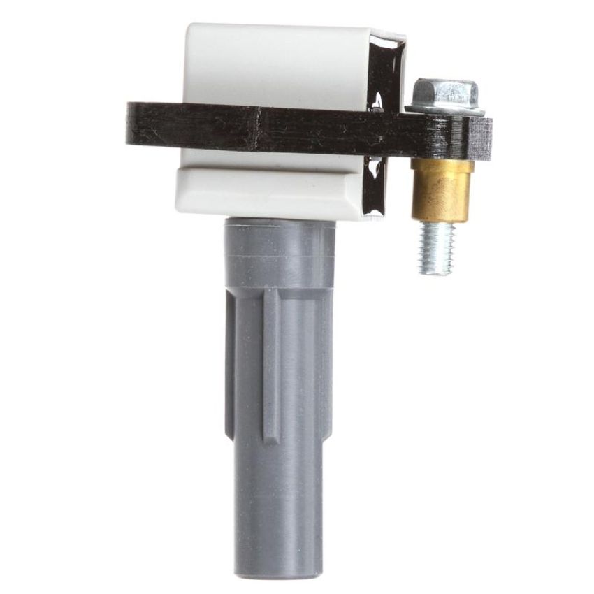 DELPHI GN10484 Ignition Coil