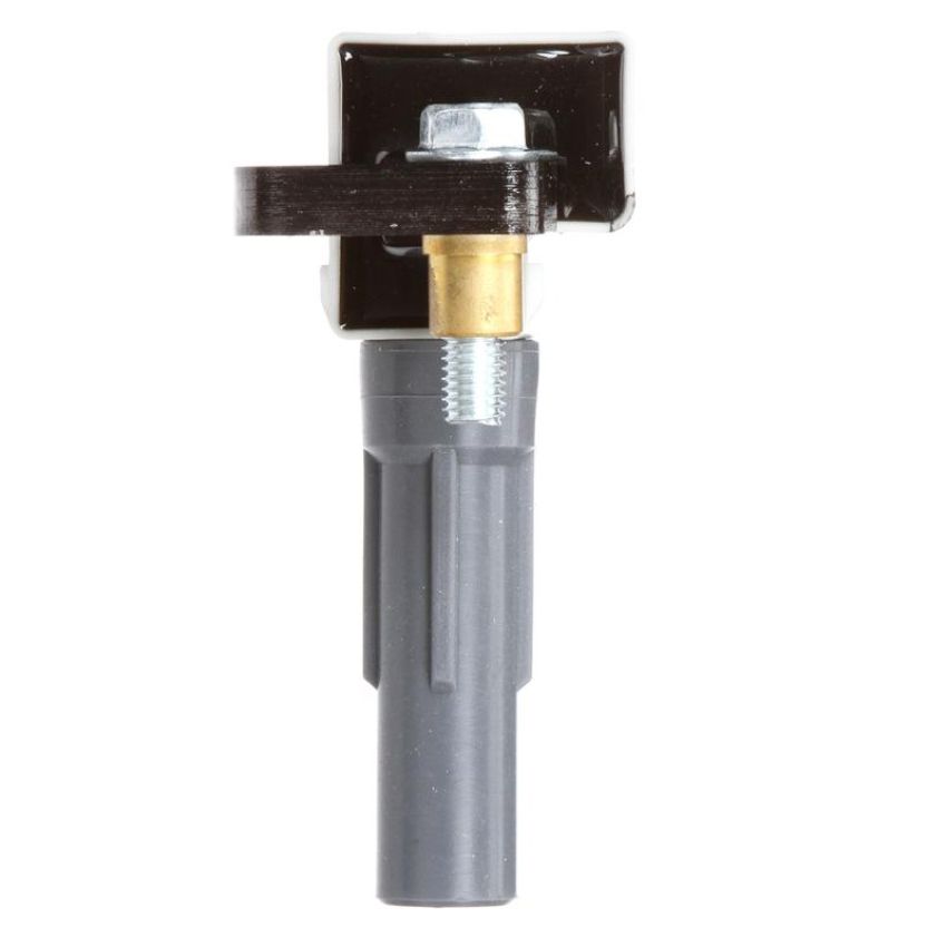 DELPHI GN10484 Ignition Coil