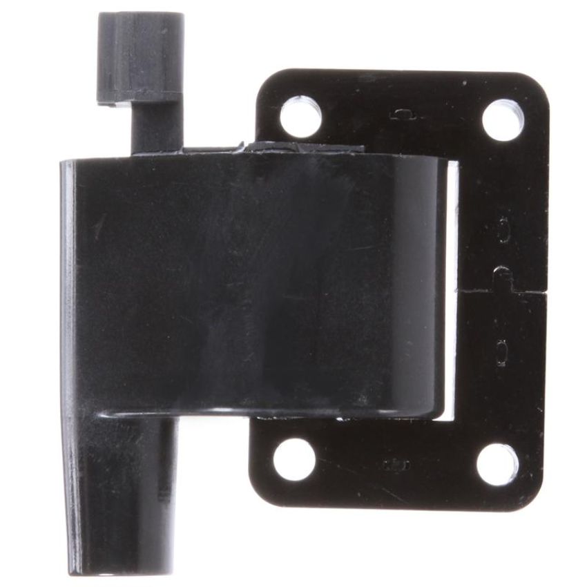 DELPHI GN10509 Ignition Coil