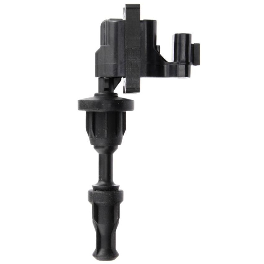 DELPHI GN10538 Ignition Coil