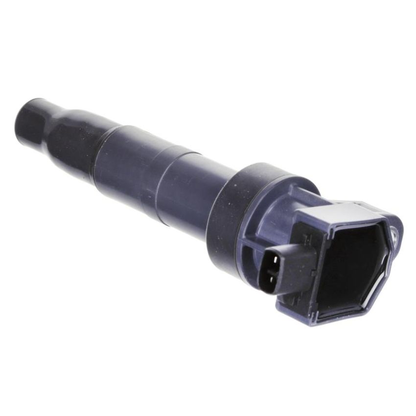 DELPHI GN10560 Ignition Coil
