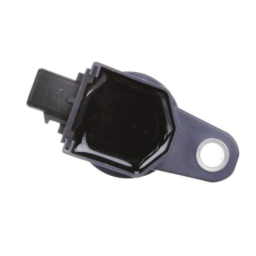 DELPHI GN10560 Ignition Coil
