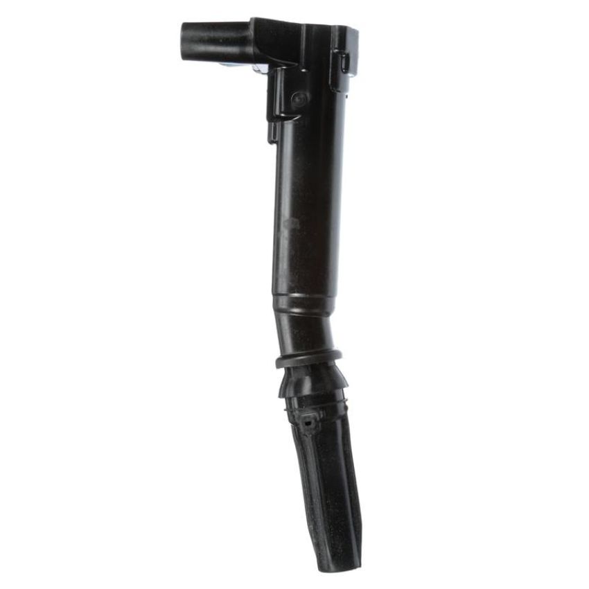 DELPHI GN10618 Ignition Coil