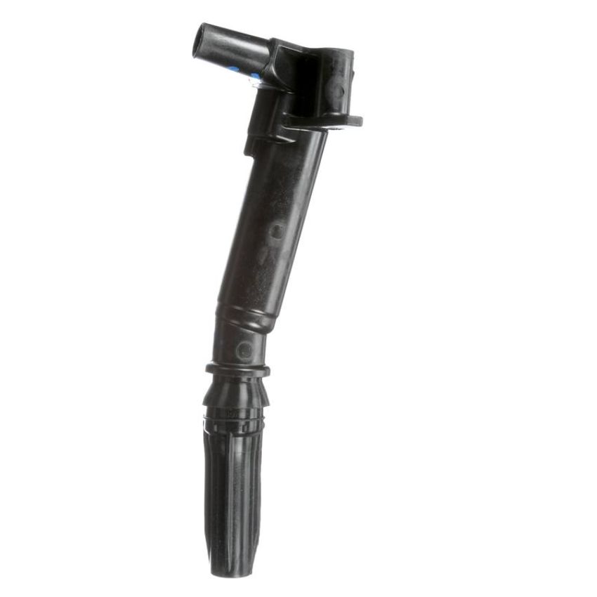 DELPHI GN10619 Ignition Coil