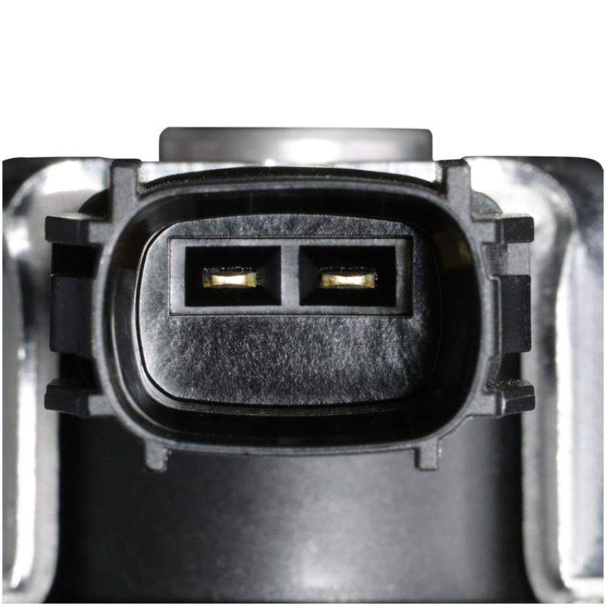 DELPHI HM10137 Direct Injection High Pressure Fuel Pump