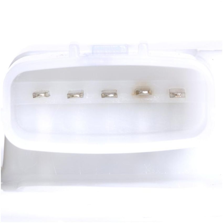 DELPHI PN3138 Fuel Pump Module Assembly