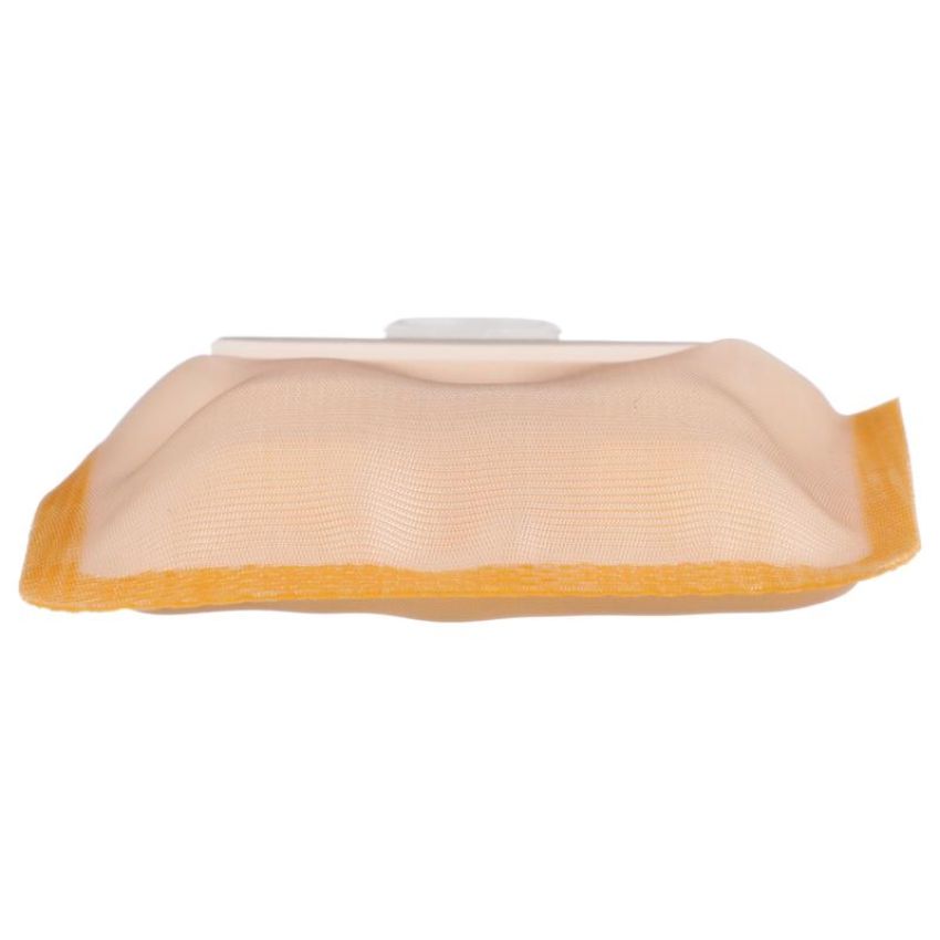 DELPHI PN7006 Fuel Pump Strainer