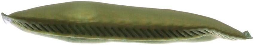 DELPHI PN7008 Fuel Pump Strainer