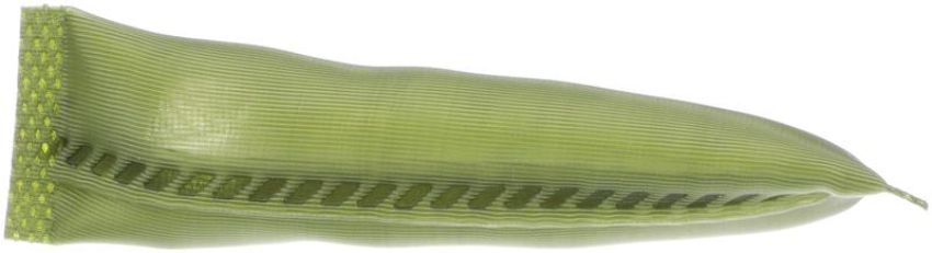 DELPHI PN7009 Fuel Pump Strainer