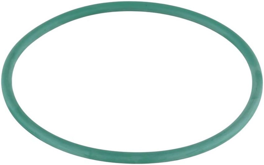 DELPHI PN9008 Fuel Pump Tank Seal