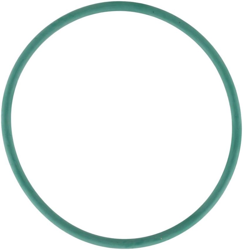 DELPHI PN9008 Fuel Pump Tank Seal