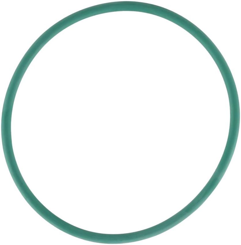 DELPHI PN9008 Fuel Pump Tank Seal