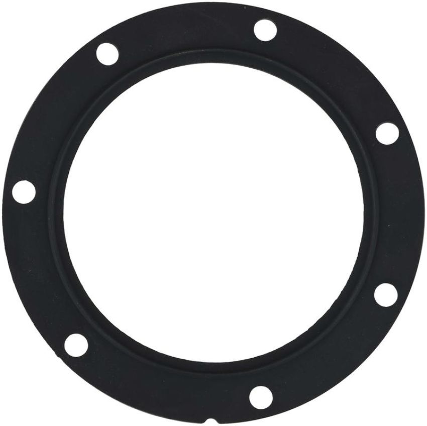 DELPHI PN9010 Fuel Pump Tank Seal