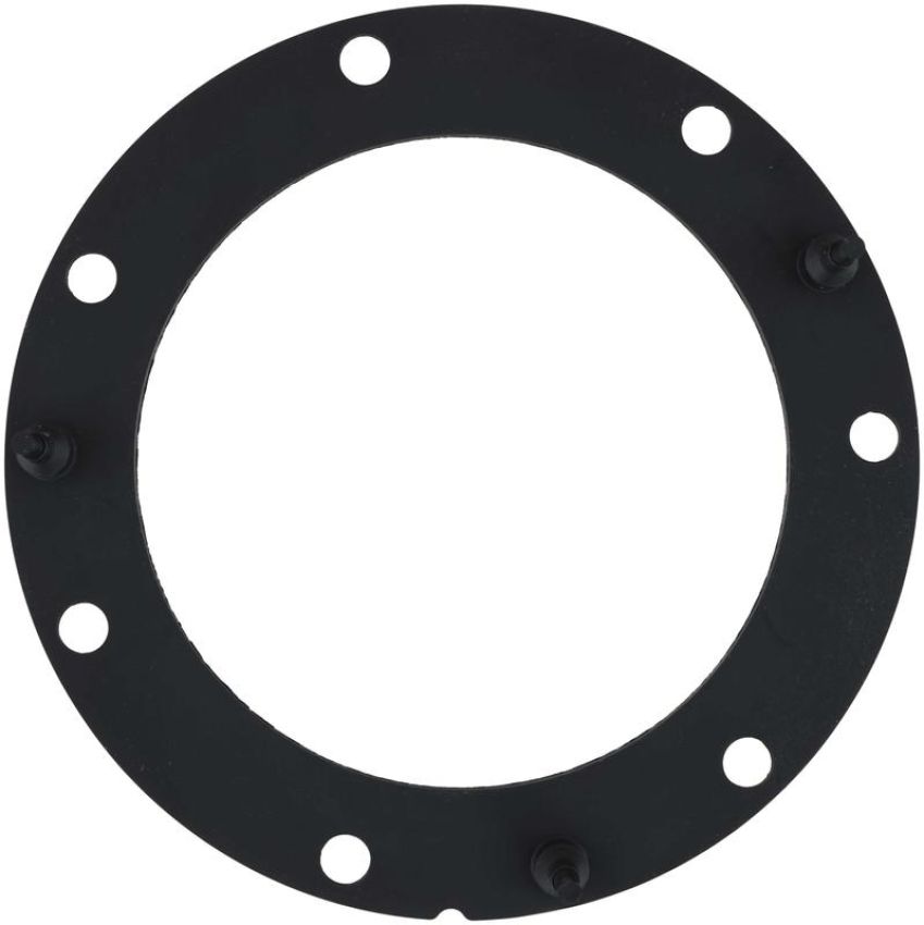 DELPHI PN9010 Fuel Pump Tank Seal