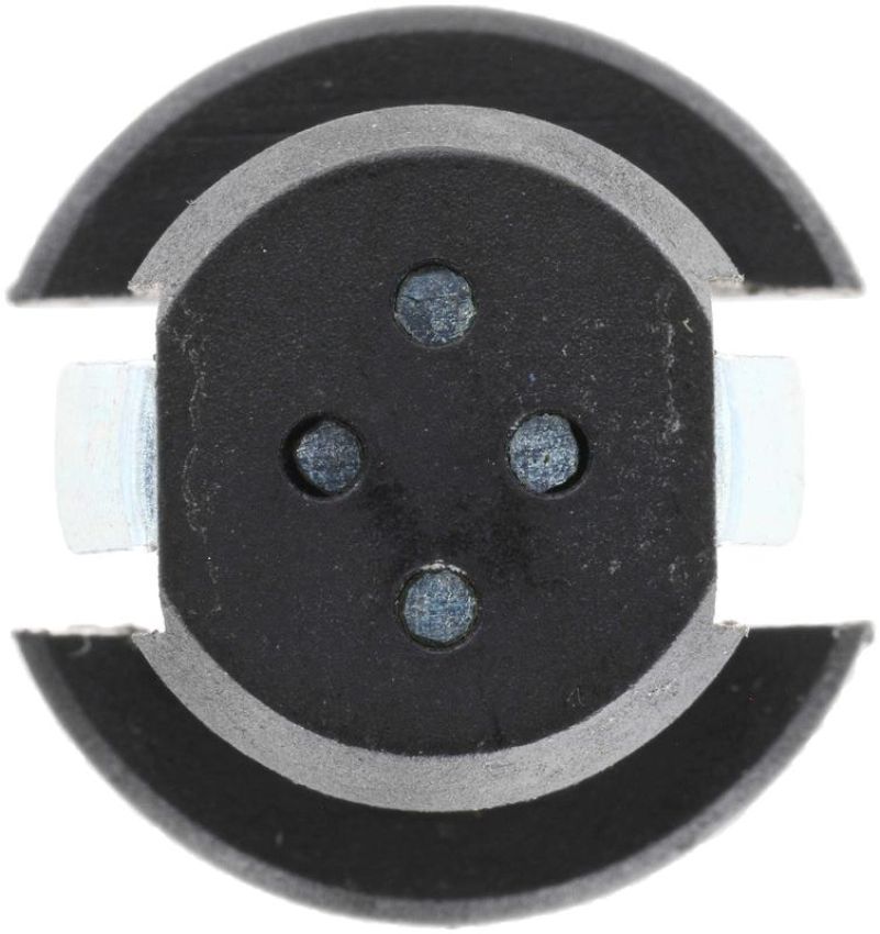 DELPHI SS10687 Engine Variable Valve Timing (VVT) Adjuster Magnet