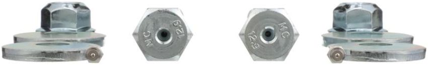 DELPHI TAL10007 Cam Bolt Kit