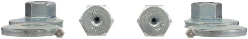 DELPHI TAL10008 Cam Bolt Kit