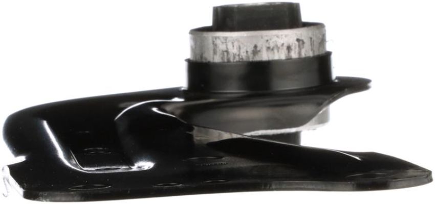 DELPHI TC3843 Suspension Trailing Arm