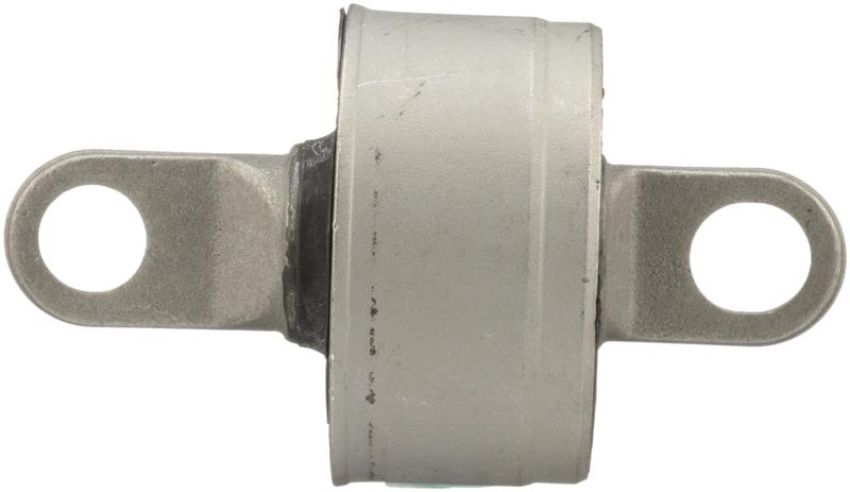 DELPHI TD4496W Suspension Trailing Arm Bushing