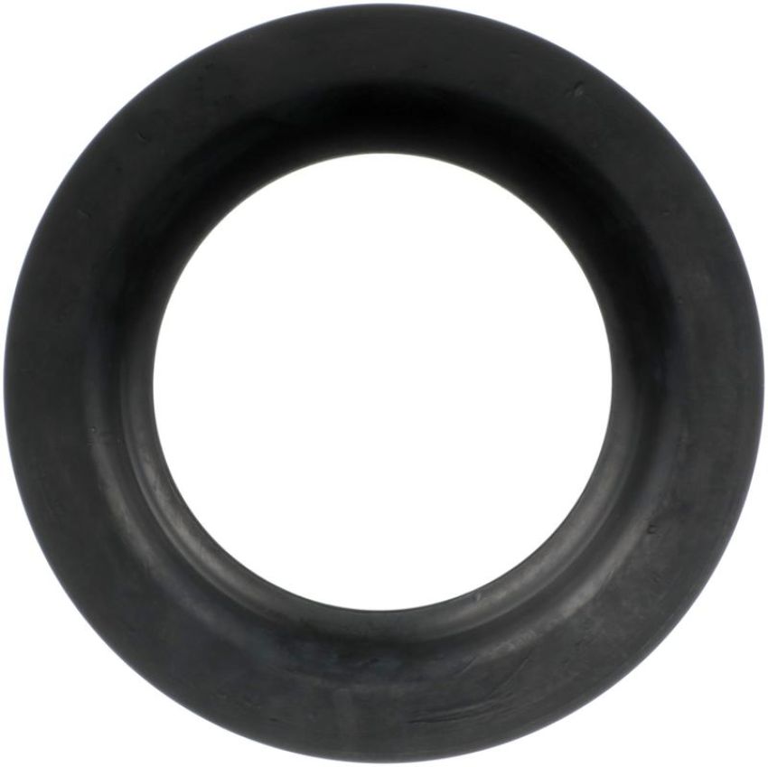 DELPHI TD4650W Coil Spring Insulator