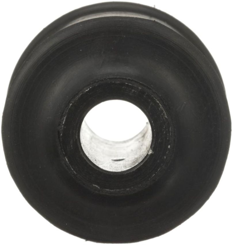 DELPHI TD4766W Suspension Trailing Arm Bushing