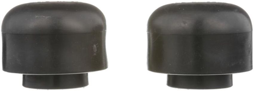 DELPHI TD5097W Strut Rod Bushing Kit