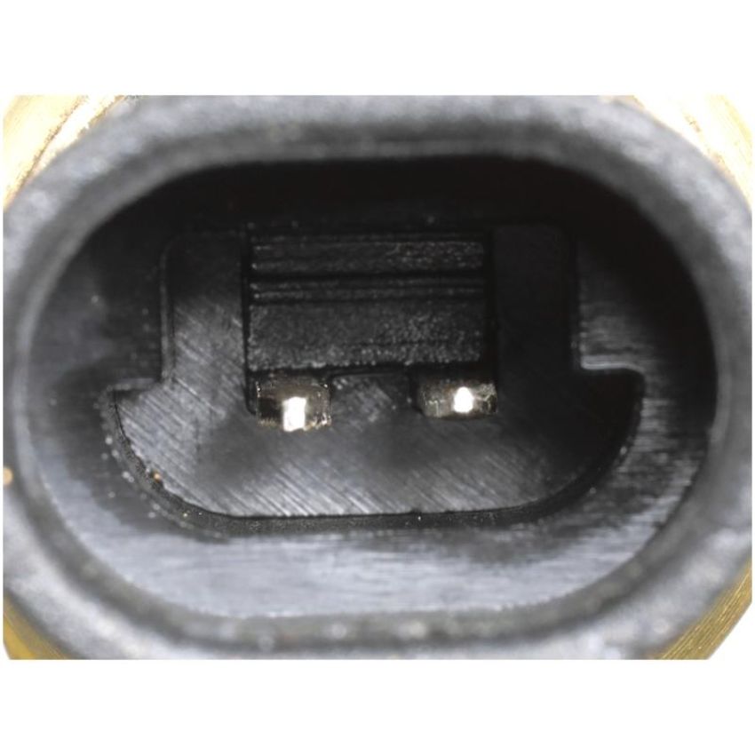 DELPHI TS10076 Engine Coolant Temperature Sensor