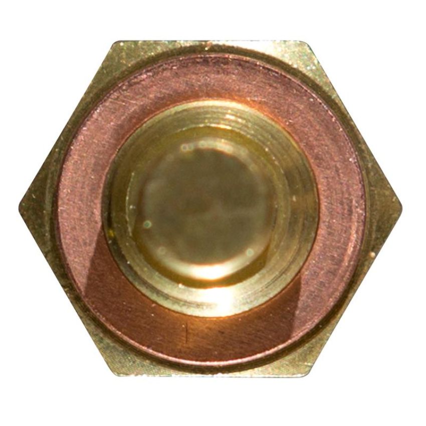 DELPHI TS10250 Engine Coolant Temperature Sensor
