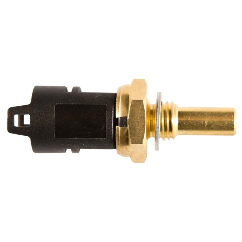 DELPHI TS10258 Engine Coolant Temperature Sensor