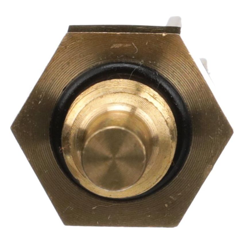 DELPHI TS10288 Engine Coolant Temperature Sensor