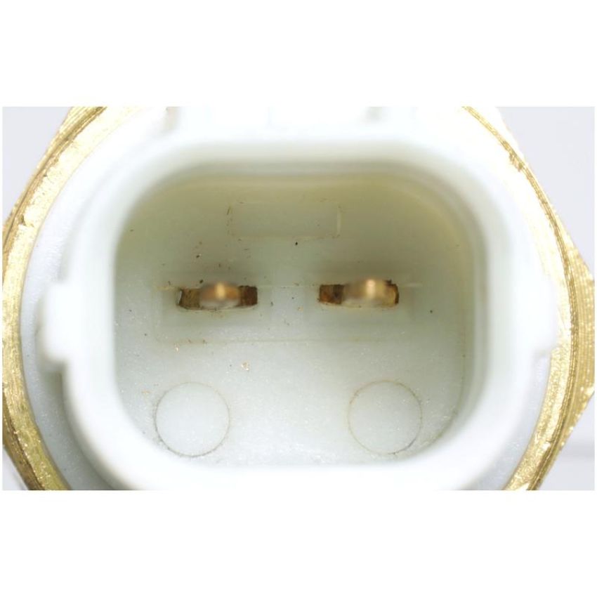 DELPHI TS10296 Engine Coolant Temperature Sensor