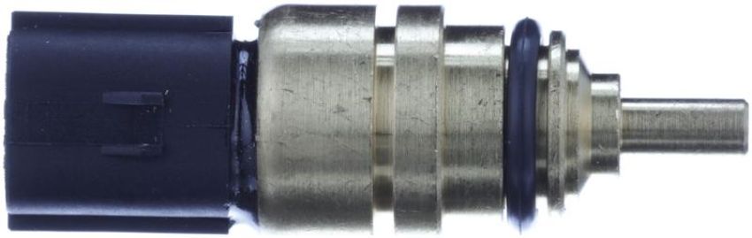 DELPHI TS10528 Engine Coolant Temperature Sensor