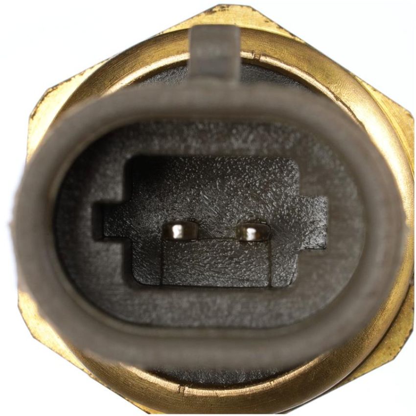 DELPHI TS10534 Air Charge Temperature Sensor