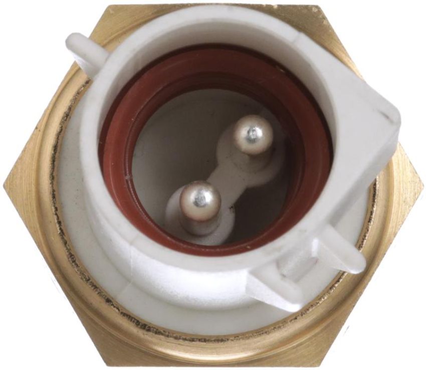 DELPHI TS10557 Air Charge Temperature Sensor