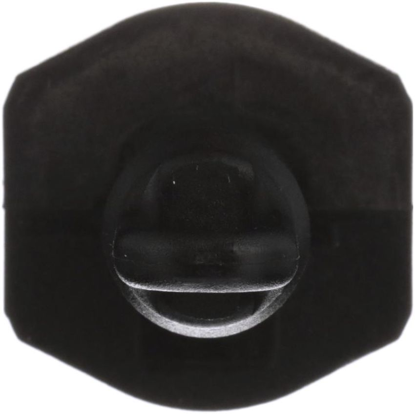 DELPHI TS10561 Air Charge Temperature Sensor