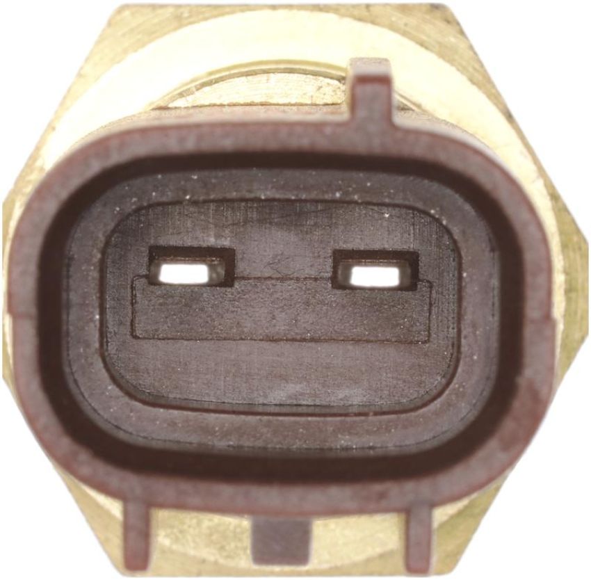 DELPHI TS10572 Engine Coolant Temperature Sensor
