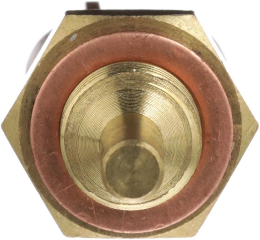 DELPHI TS10572 Engine Coolant Temperature Sensor