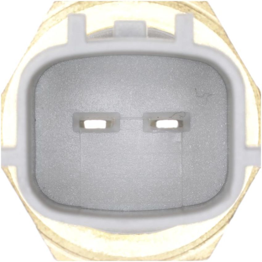 DELPHI TS10573 Engine Coolant Temperature Sensor