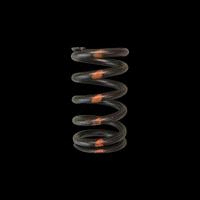 Brian Crower BC1650 BRZ/FRS FA20 Single Valve Springs