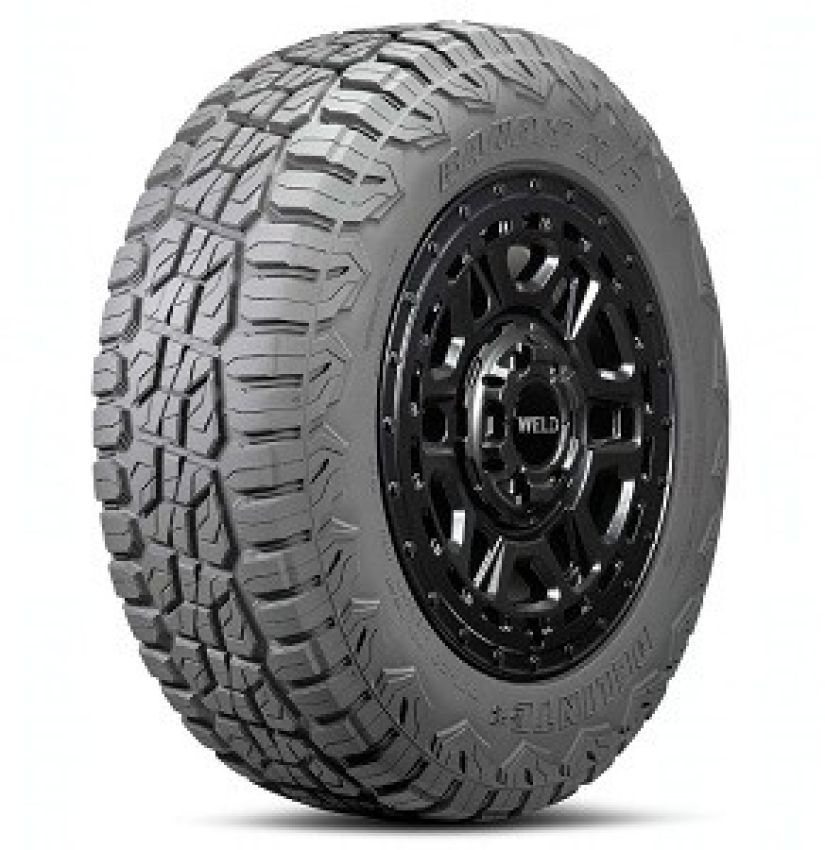 DELINTE DX-20 Bandit X/T R24